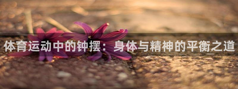 球客岛