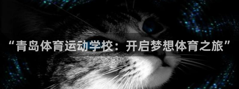 球客岛