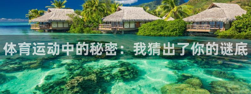 球客岛