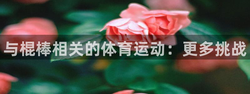 球客岛