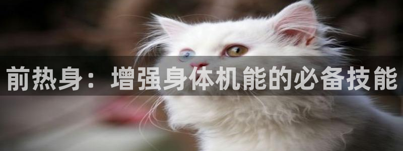 球客岛