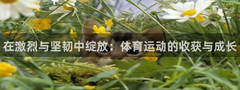 球客岛