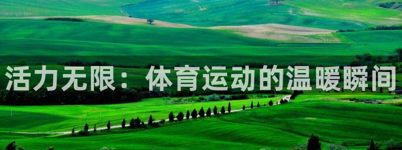 球客岛