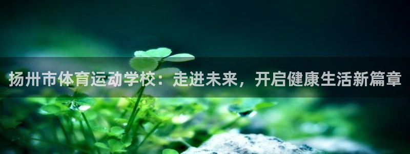 球客岛