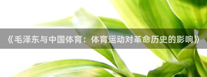 球客岛