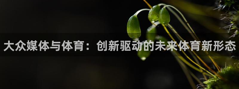 球客岛