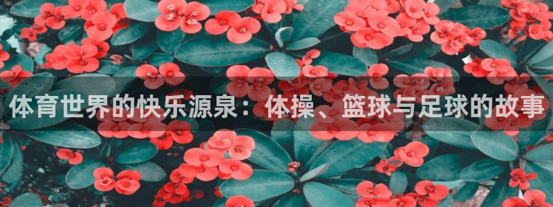 球客岛