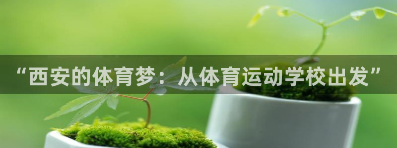 球客岛