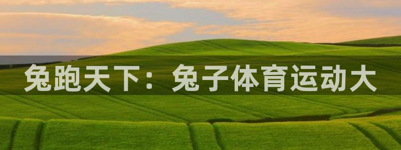 球客岛