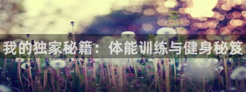 球客岛